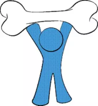 نقاشی پوکی استخوان 6