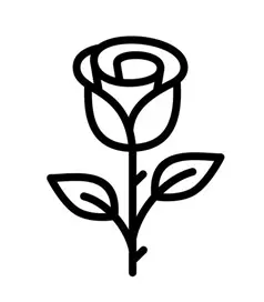 نقاشی گل رز ساده برای کودکان 5 نقاشی گل رز ساده برای کودکان 5
