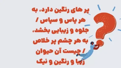 پر های رنگین دارد، به هر پاس و سپاس / جلوه و زیبایی بخشد، به هر چشم پر خلاص / چیست آن حیوان زیبا و رنگین و نیک مایه حیرت به هر چه ریک؟