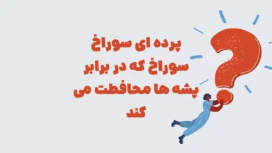 پرده ای سوراخ سوراخ که در برابر پشه ها محافطت می کند