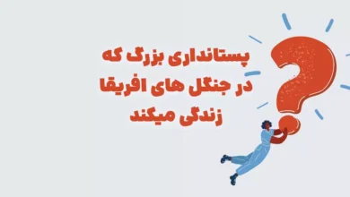 پستانداری بزرگ که در جنگل های افریقا زندگی میکند در جدول + بازی شهربانو