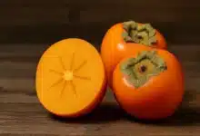 کالری خرمالو چقدر است؟ بررسی کامل ارزش غذایی، خواص و تاثیر آن بر وزن