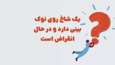 یک شاخ روی نوک بینی دارد و در حال انقراض است