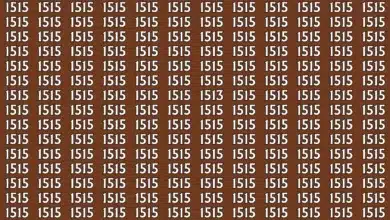 چالش خطای دید: عدد 1513 را میان 1515ها پیدا کن!