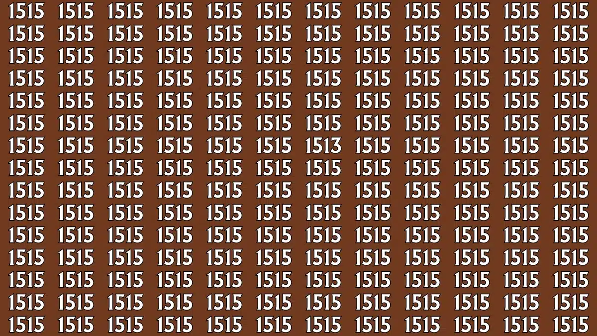 چالش خطای دید: عدد 1513 را میان 1515ها پیدا کن!