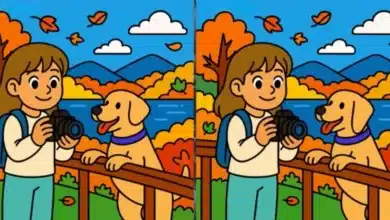 پیشنویس خودکار