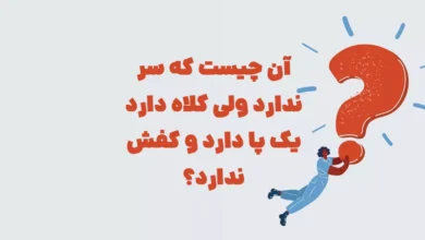 آن چیست که سر ندارد ولی کلاه دارد یک پا دارد و کفش ندارد؟