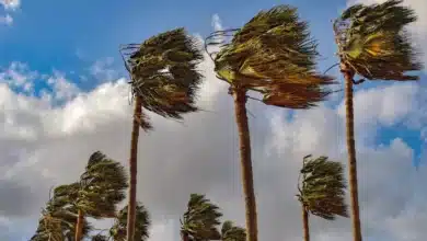 باد چگونه به وجود می آید کلاس دوم