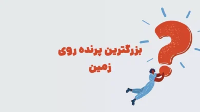 بزرگترین پرنده روی زمین بازی شهربانو + در جدول