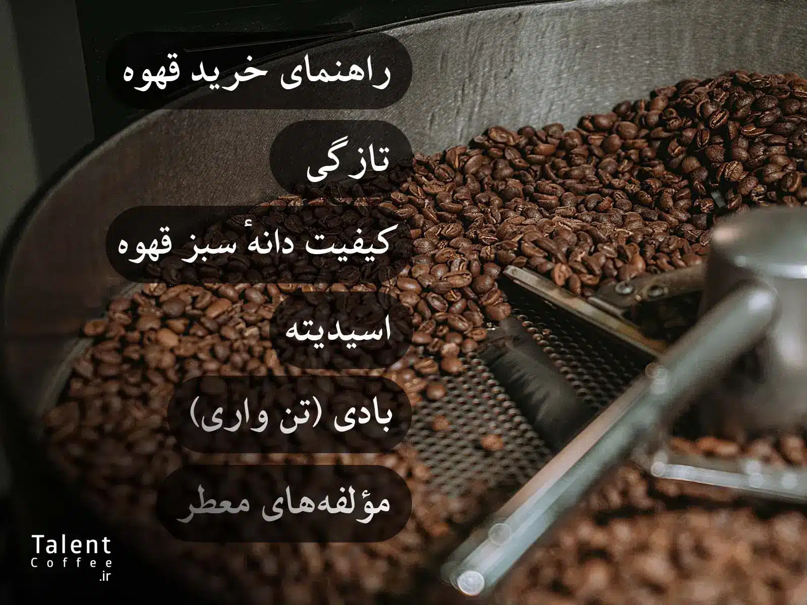 بهترین ترکیب عربیکا و روبوستا برای یک اسپرسوی ایده-آل - تصویر 3 مولفه خرید قهوه