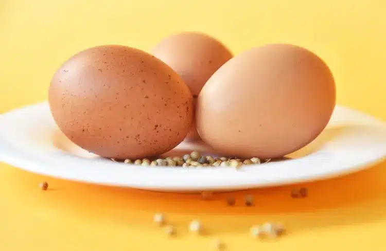 تخم مرغ ۷ منبع غذایی سرشار از امگا ۳