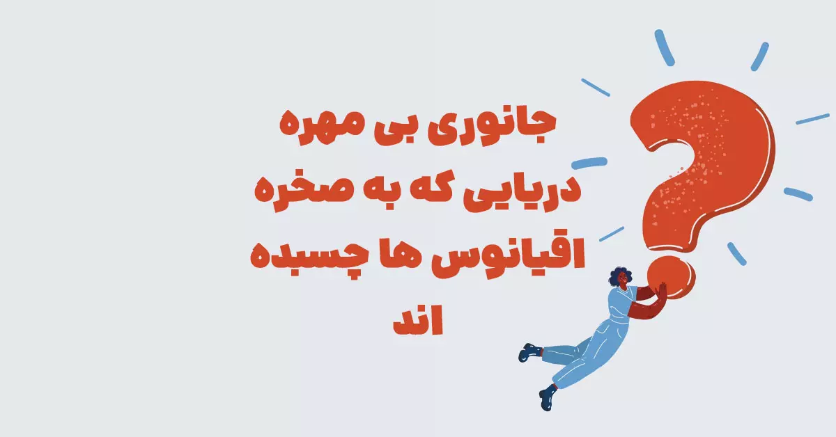 جانوری بی مهره دریایی که به صخره اقیانوس ها چسبده اند