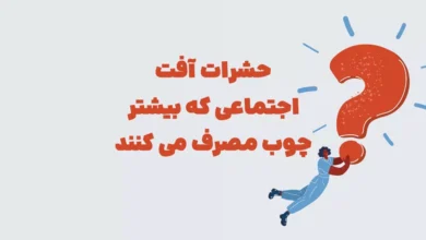 حشرات آفت اجتماعی که بیشتر چوب مصرف می کنند