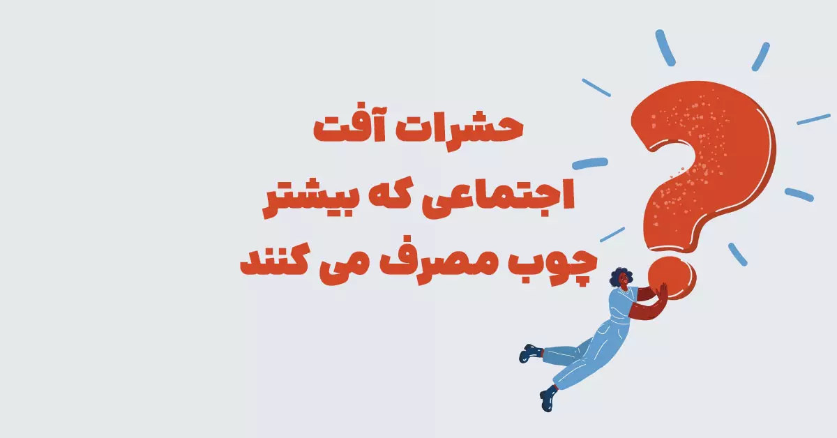 حشرات آفت اجتماعی که بیشتر چوب مصرف می کنند
