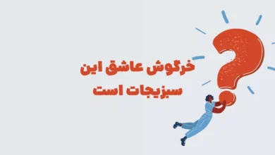 خرگوش عاشق این سبزیجات است بازش شهربانو + در جدول