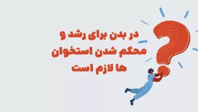 در بدن برای رشد و محکم شدن استخوان ها لازم است