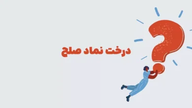 درخت نماد صلح در جدول + بازی شهربانو