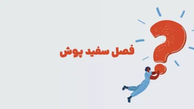 فصل سفید پوش در بازی شهربانو
