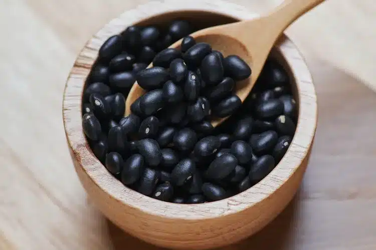 لوبیای سیاه