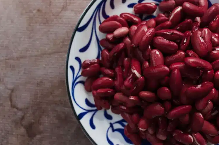 لوبیای قرمز