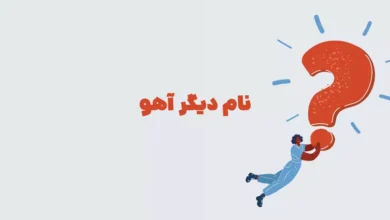 نام دیگر آهو در جدول + بازی شهربانو