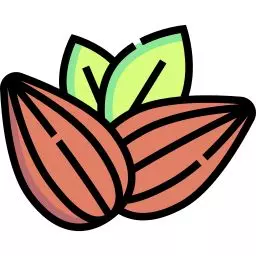 نقاشی بادام درختی 14