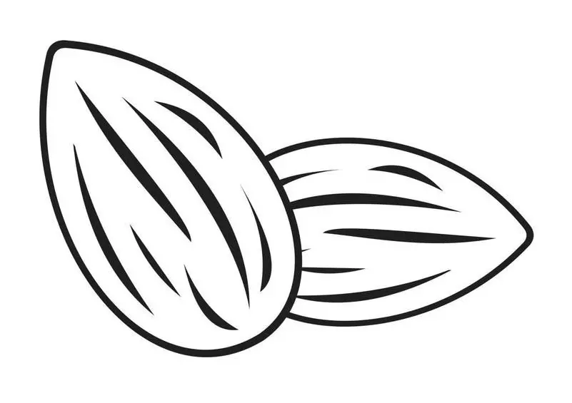نقاشی بادام درختی 4