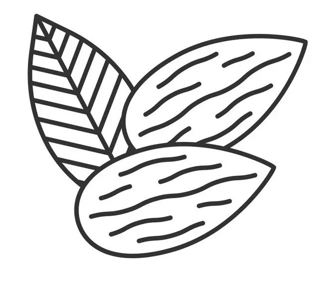 نقاشی بادام درختی 5