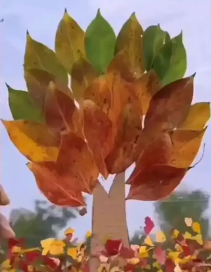 نقاشی درخت پاییزی 22 نقاشی درخت پاییزی 22