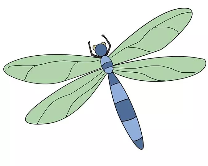 نقاشی سنجاقک 21