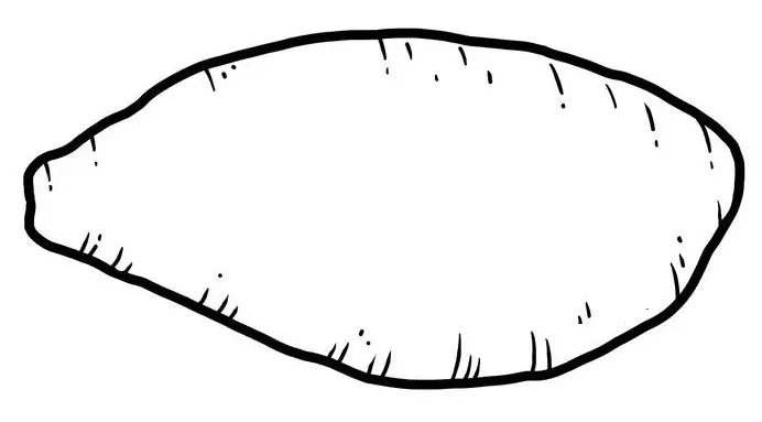 نقاشی سیب زمینی 20