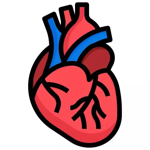نقاشی قلب سالم و ناسالم 24