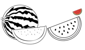 نقاشی هندوانه