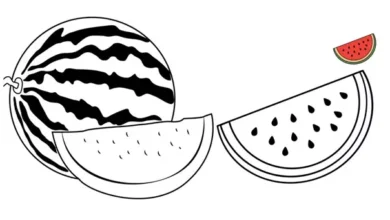 نقاشی هندوانه
