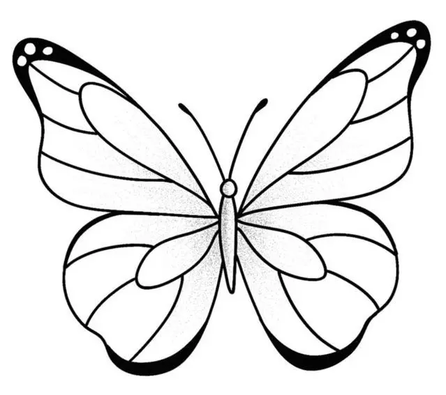 نقاشی پروانه 16 نقاشی پروانه 16