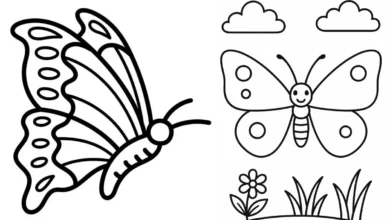 نقاشی پروانه