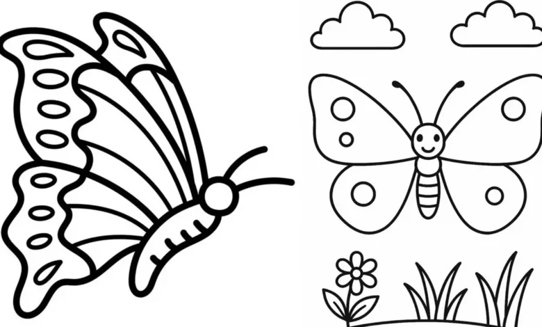 نقاشی پروانه