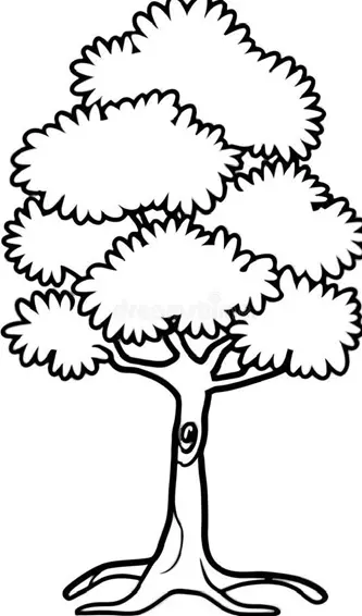 نقاشی چنار 15