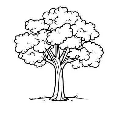 نقاشی چنار 17