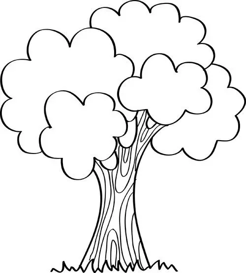 نقاشی چنار 3