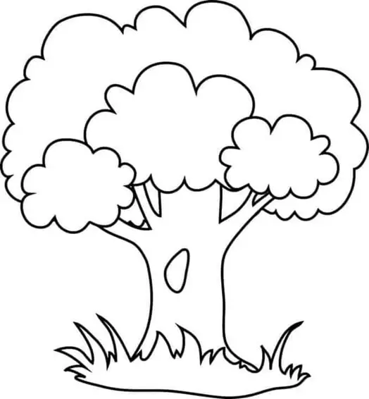 نقاشی چنار 5