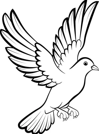 نقاشی کبوتر 13
