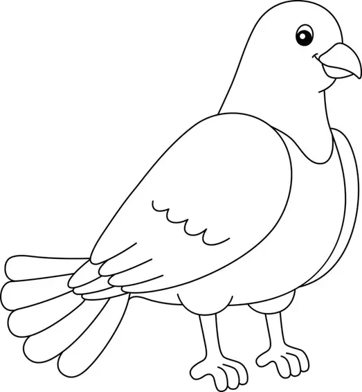 نقاشی کبوتر 14