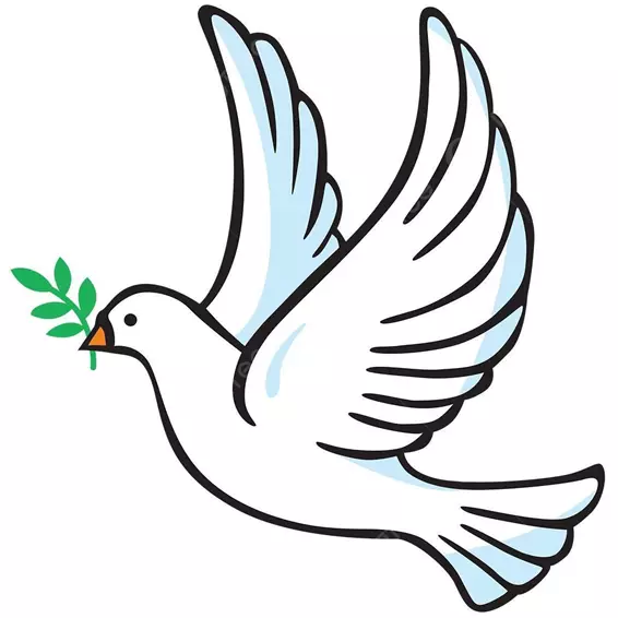 نقاشی کبوتر 24