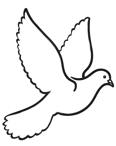 نقاشی کبوتر 6