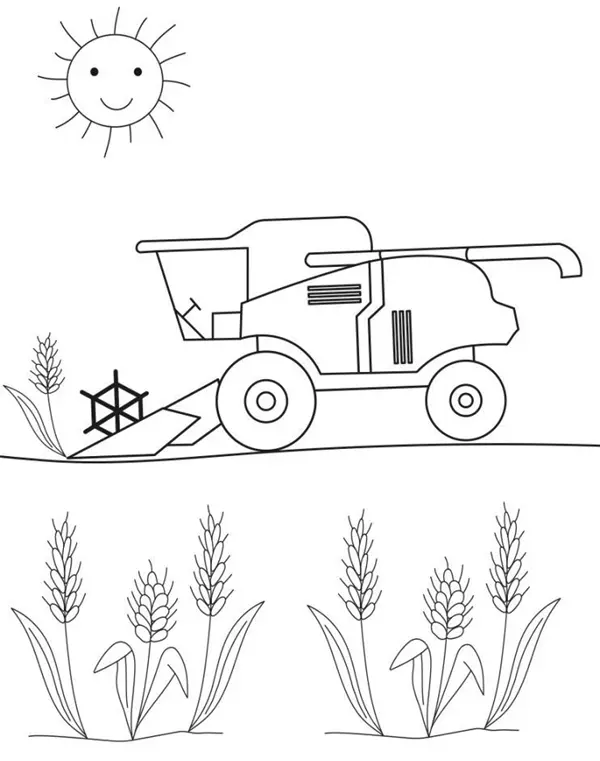 نقاشی گندم 3 نقاشی گندم 3