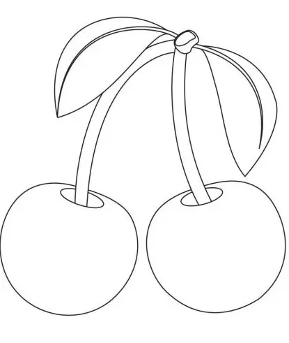 نقاشی گیلاس 4 نقاشی گیلاس 4