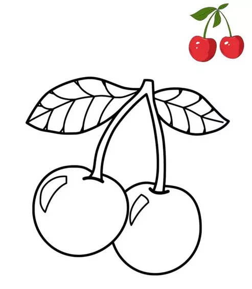 نقاشی گیلاس 6 نقاشی گیلاس 6