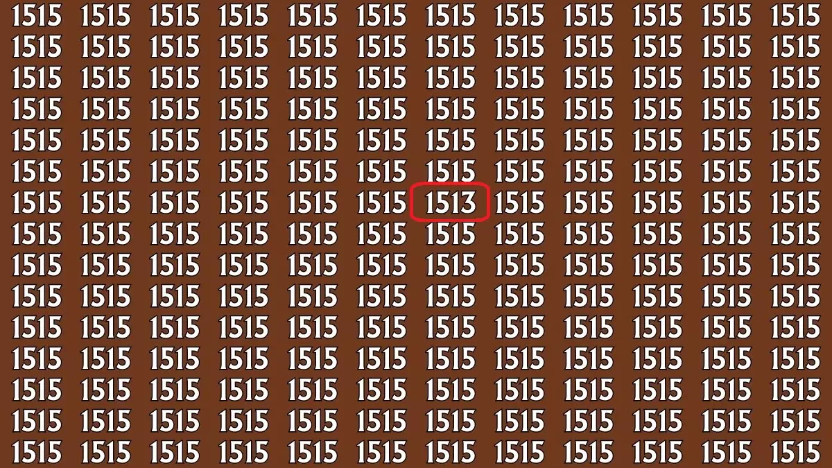 پاسخ 1513 رو بین 1515ها پیدا کن چالش خطای دید: عدد 1513 را میان 1515ها پیدا کن!