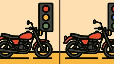 فقط ۱۹ ثانیه برای پیدا کردن ۳ تفاوت مخفی وقت داری! آیا میتونی رکورد بزنی؟